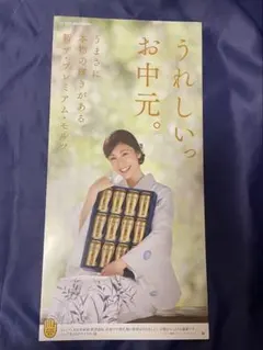 【非売品】竹内結子 サントリー ザ・プレミアム・モルツ 店頭ポスター①お中元のサムネイル