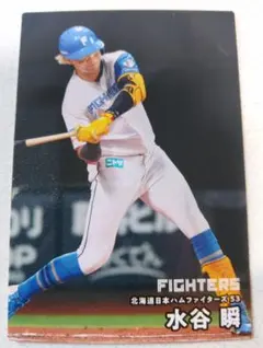 カルビー　プロ野球チップス　2026年　第2弾　069　水谷瞬