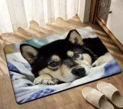 柴犬　黒柴犬　お顔アップ　マット　フロアマット　玄関マット　40✕60のサムネイル