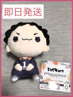 ハイキュー!! もちぴこぬいぐるみ5 澤村大地