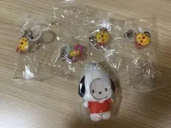 sassy めじるしアクセサリー　サンリオ　フォトフレームマスコット2