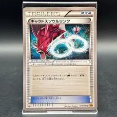 ポケモンカード XYシリーズ ソウルリンクまとめ売りセット③ 2026年最新】Pokemon Card Game シリーズ：XY／XYBREAK ポケモンカード