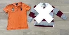 Ralph Lauren ポロシャツ