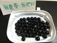 3900○125粒以上山椒の種京都丹波産①送込￥300[260513] - メルカリ