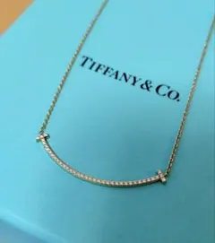 【お値下げ中】Tiffany＆Co. ティファニー Tスマイル ネックレス YGのサムネイル