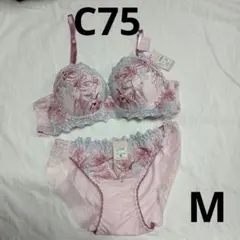 C75ブラ&ショーツM セット品