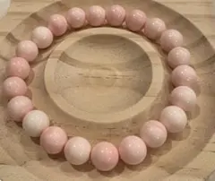 2026年最新】貝 コンクシェルの人気アイテム - メルカリ