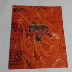 B'z ツアーパンフレット　8冊 まとめ売り　ライブジム　お得 B'Z Live -Gym 2001『ELEVEN』ツアーパンフレット : サツキBOOKS