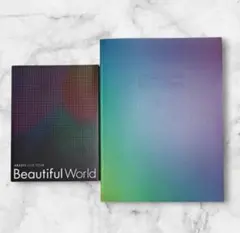 み様専用 嵐 Beautiful World 初回限定盤DVD＆ パンフレット