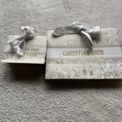 Christian Diorクリスマス限定デザイン ショッパー2枚、リボンセット