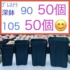 2026年最新】プレステラ 90 深鉢の人気アイテム - メルカリ