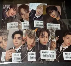 &TEAM 月狼 トレカ コンプ 9枚セット