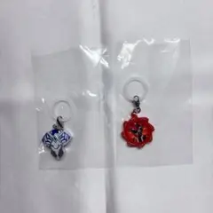 スーパー戦隊 めじるしアクセサリー ドンブラザーズ セット