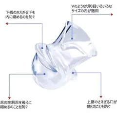 Item thumbnail for item dd1905a3-ebf4-4d09-aa3e-a25bee5d2570