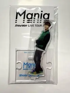 Snow Man 渡辺翔太 アクリルスタンド