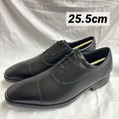 テクシーリュクス 25