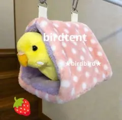 Item thumbnail for item aebeb95b-677a-47f3-885e-221222805822