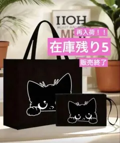 Item thumbnail for item 3f9f681c-428a-49b4-bdee-0d23d90ada6a