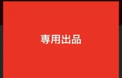 専用出品