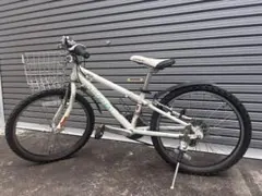 R*l様 LOUIS GARNEAU J22 子供用自転車のサムネイル