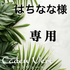 【はちなな様専用】