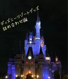 ✨激レア✨ディズニー オルショウスキー シンデレラ城 模型 ライト