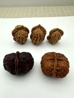 ☆新品入荷☆ クルミ単品 5点