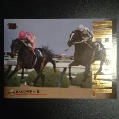メジロラモーヌ、97下 メモリアル
