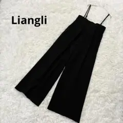 オーバーオール　サロペ　ブラック　肩紐調整　ポケット付き　センターライン　タック