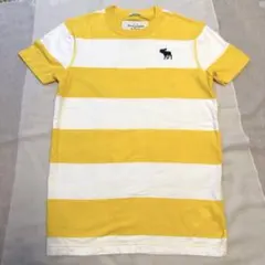 アバクロ　ストライプTシャツ