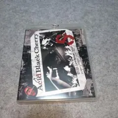 Acid Black Cherry 2015 livehouse tour S