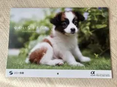 Item thumbnail for item 7887f34e-ce19-4388-85e2-c35774d50f7f