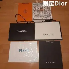 セール❗限定Dior、HERMES他高級ブランドショッピングバッグ 大6点