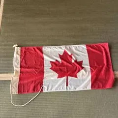 Item thumbnail for item a5abba93-47b3-4adc-b006-b501b5ffb868