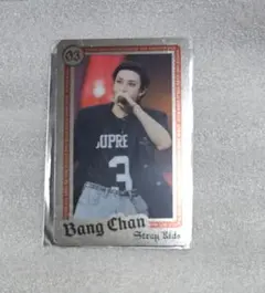 straykids ライブフォトカード バンチャン dominATE エコパ