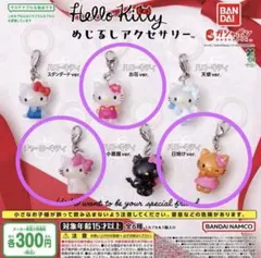 【新品未開封】ハローキティ めじるしアクセサリー お花、日焼け、チャーミーキティ