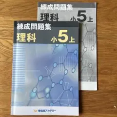 2026年最新】早稲アカ 錬成 小5の人気アイテム - メルカリ