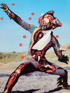 まとめ買い推奨　特撮　グッズ　仮面ライダー　037　アマゾン