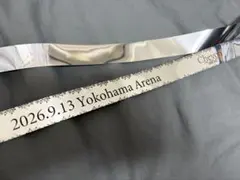Chevon 三者山羊　横浜アリーナ公演　銀テープ