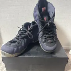 Item thumbnail for item cbb5a8d7-5f76-4e83-8543-a7cd5b2be481