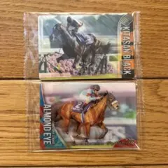 【アーモンドアイ】　【キタサンブラック】サラブレッドホースコレクション