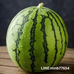 新鮮なスイカ 丸ごと1玉のサムネイル