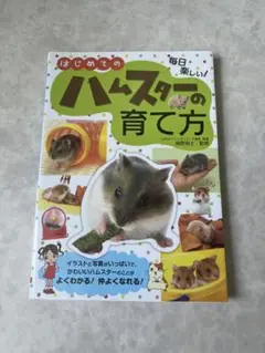 Item thumbnail for item 8b2761a2-688f-4551-b97f-8703bd8e7093