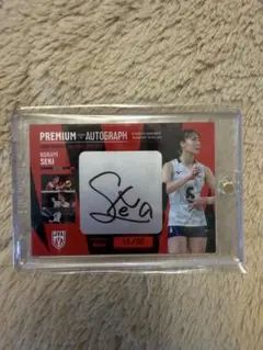 Item thumbnail for item 175315cb-a20c-4d3f-8ad8-fbee9e1d80dd