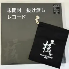 2026年最新】vinyl xgの人気アイテム - メルカリ