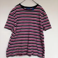 カレンスコット Tシャツ クルーネック 半袖 マルチボーダー PL 紫黒桃白 綿