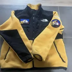 THE NORTH FACE SEVEN SUMMITS フリースジャケット