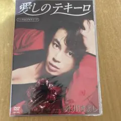 Item thumbnail for item 2e9db7f5-8728-465f-b54d-2e6990fec701