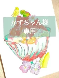 かずちゃん様専用ページ