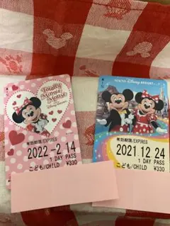 リゾートライン フリーきっぷ 2020 正月 子年 だるま ミッキー 未使用